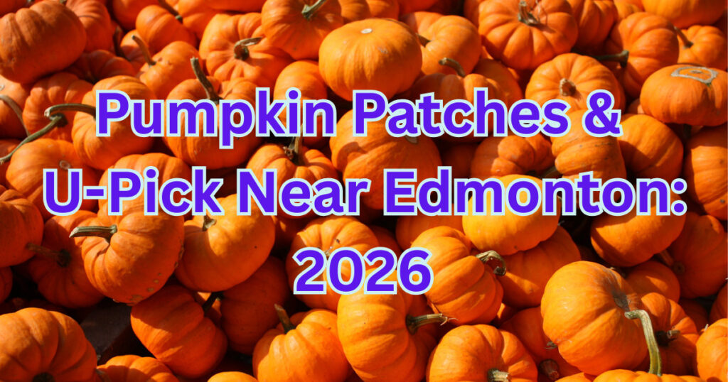 Pumpkin Patches & U-Pick Near Edmonton 2026
